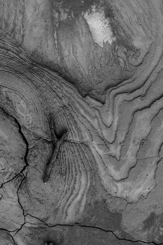 nature ,bw , sand ,  Y фото превью