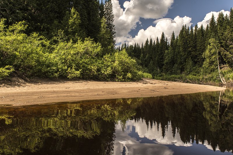 Отражение в реке Сюзьма. фото превью