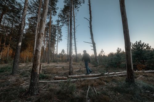 Самоисследование “Кто я?”