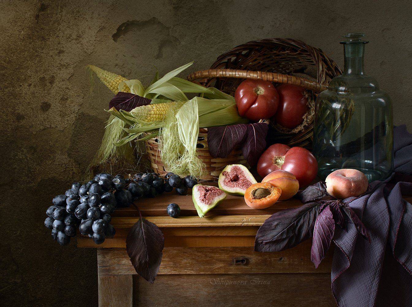 , Шипунова Ирина