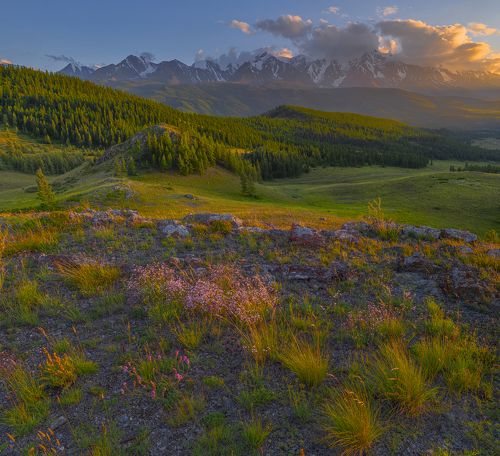 Вечерний вид на Северо-Чуйский хребет.