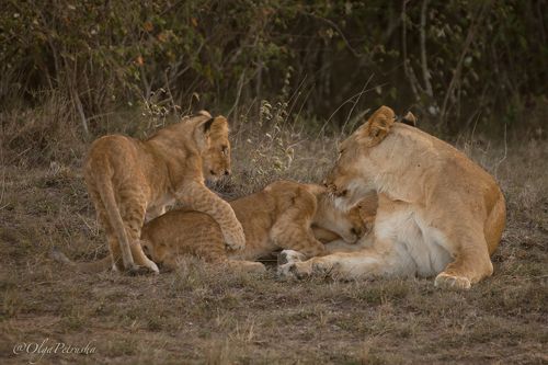 Подвинься пожалуйста, я тоже есть хочу!!