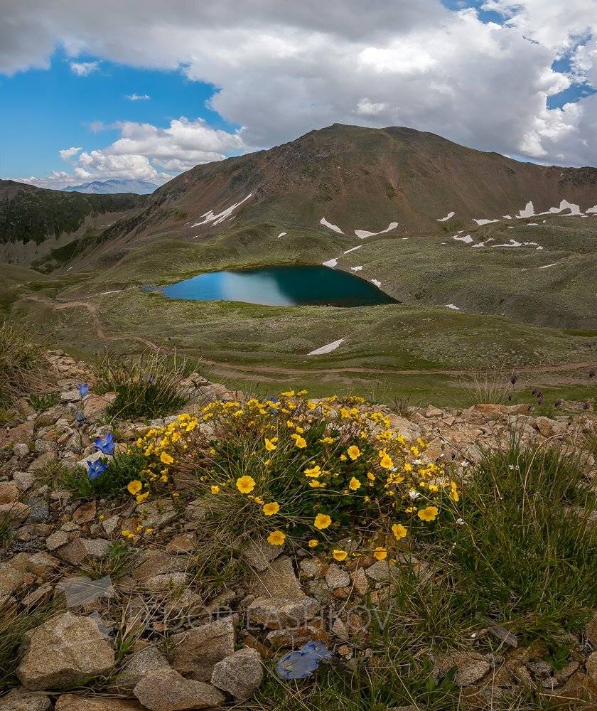 Горы, гора, Домбай, долина, Мухинское, лето, в горах, Теберда, озеро, горное озеро, цветы, цветущие луга, альпийские, Лашков Фёдор