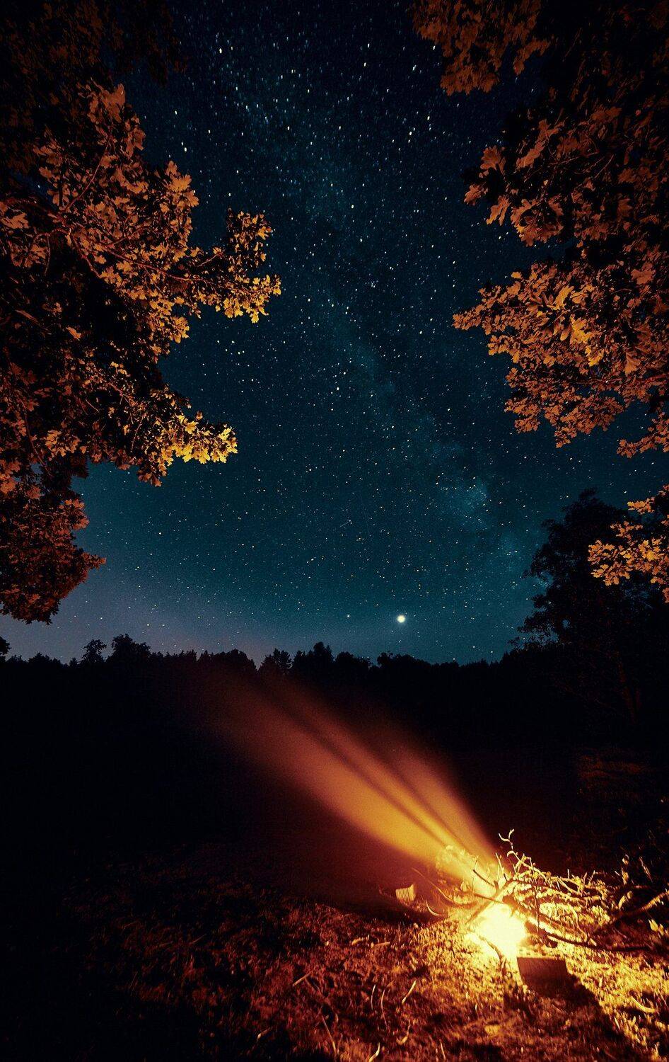 , Александр Фанковин