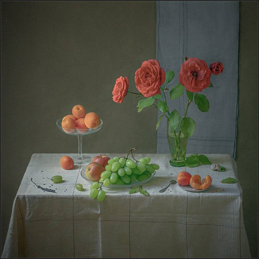 , Stein Georg
