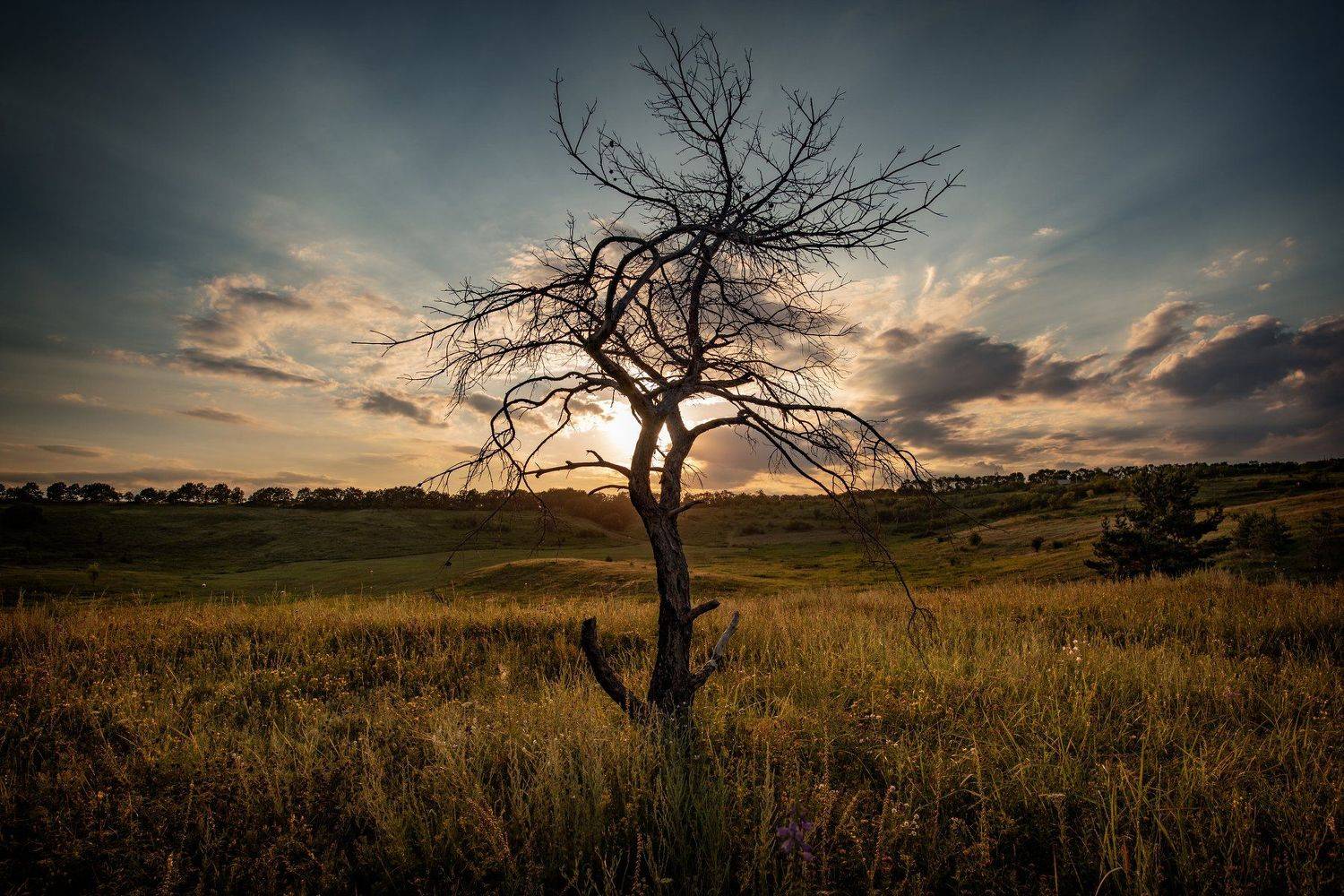 , Чистаев Александр