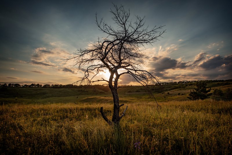 3070 фото превью