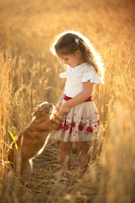 дети, девочка, детский портрет, детский фотограф, детская фотография, топ фотограф, семейный фотограф, пшеница, лето, кот В  пшенице фото превью
