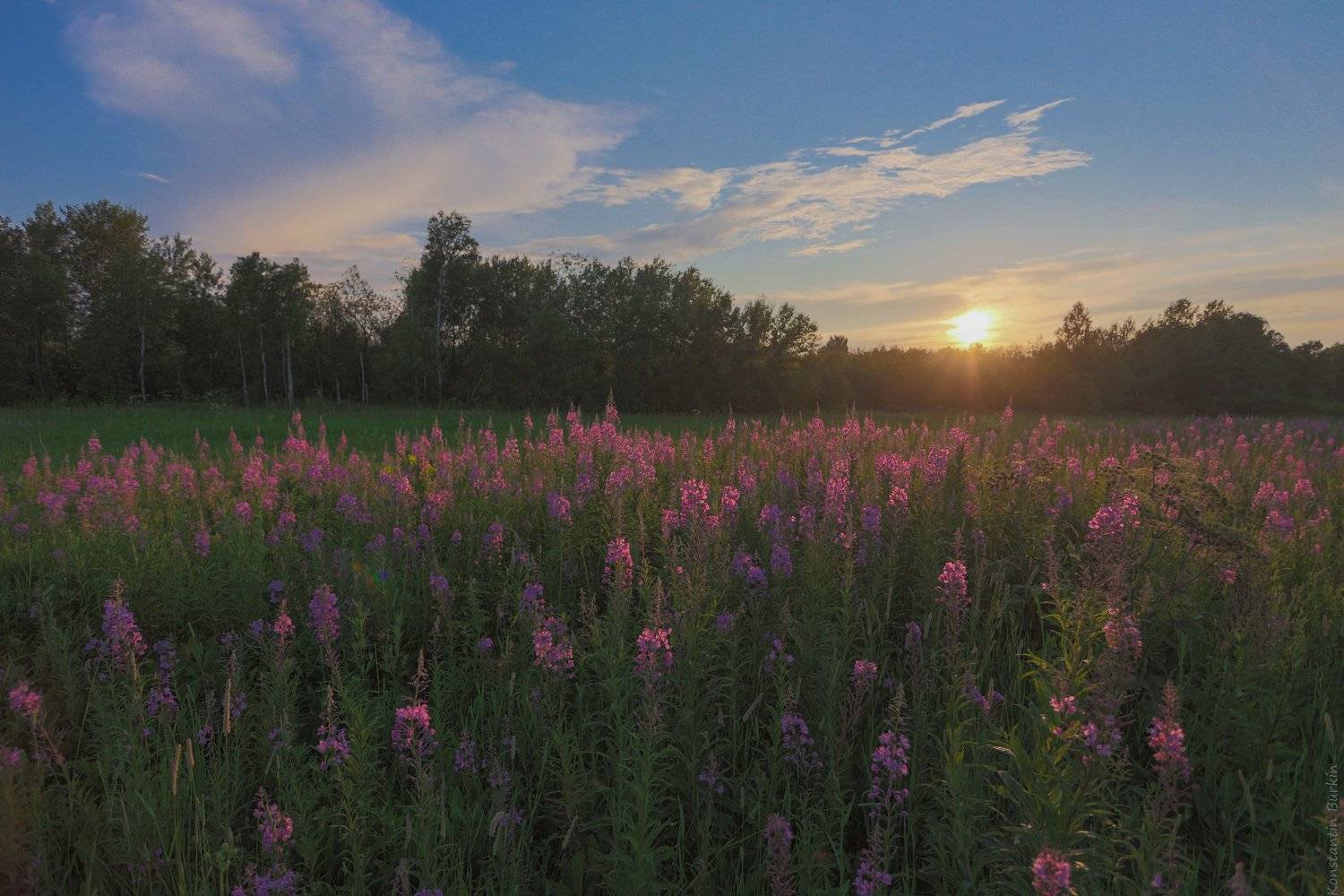 , Константин Буркин