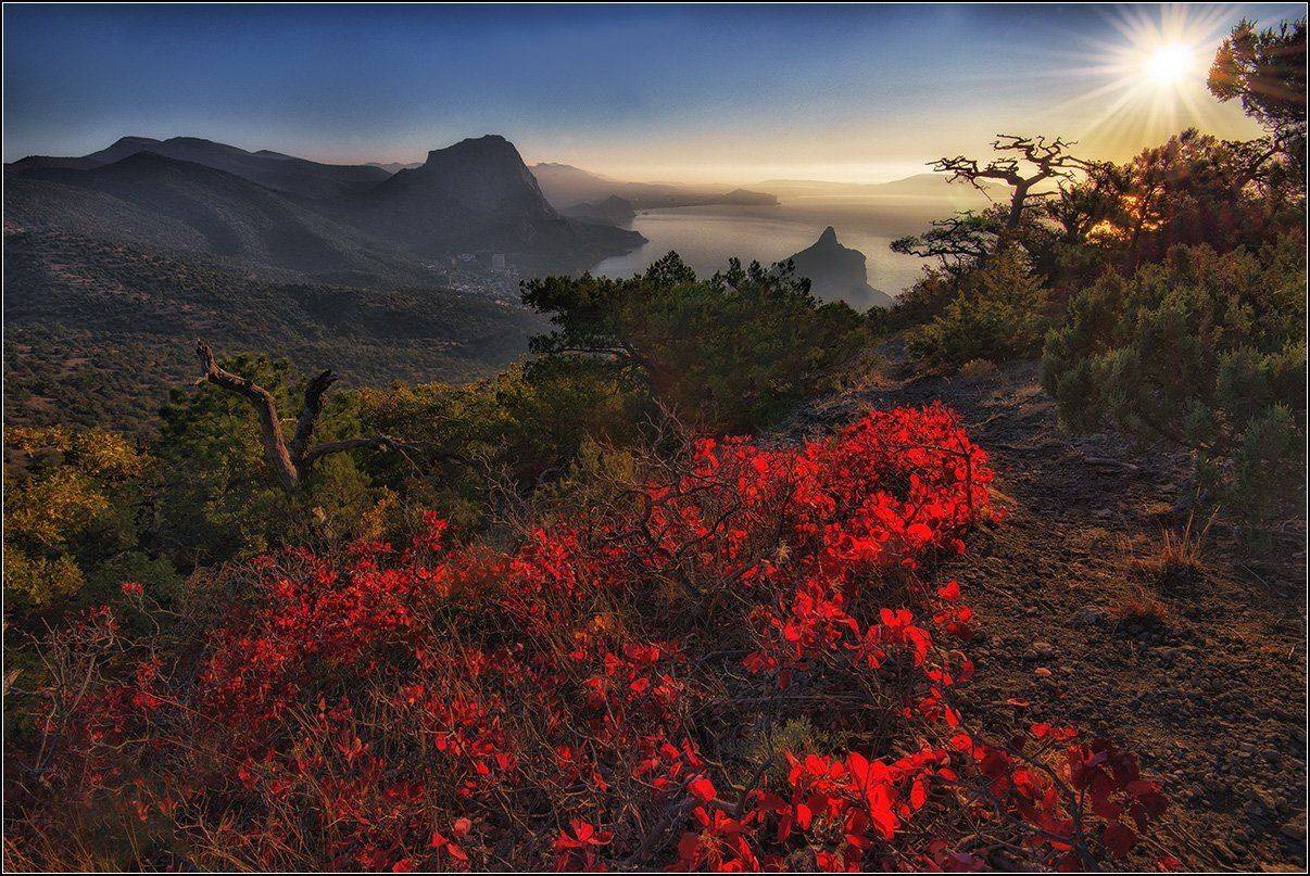 крым, новый свет, осень, утро, АНАТОЛИЙ ДОВЫДЕНКО