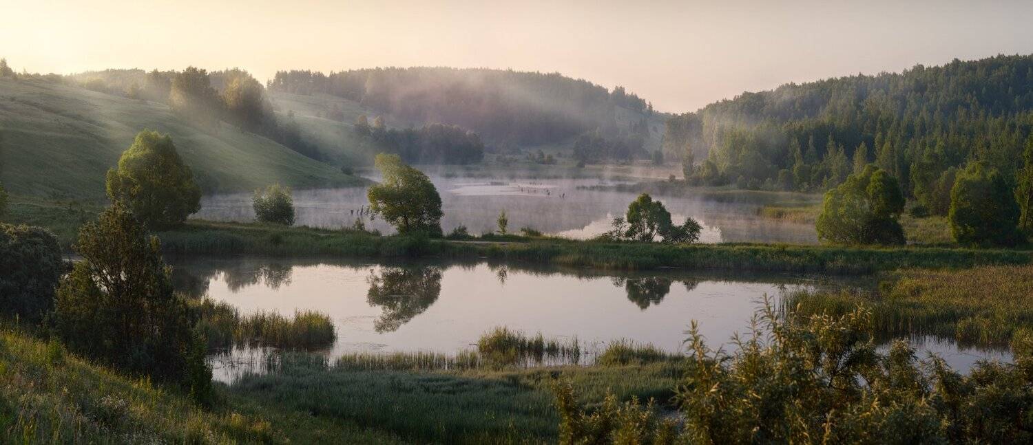 тула, саженка, одоев, Сергей Кочергин