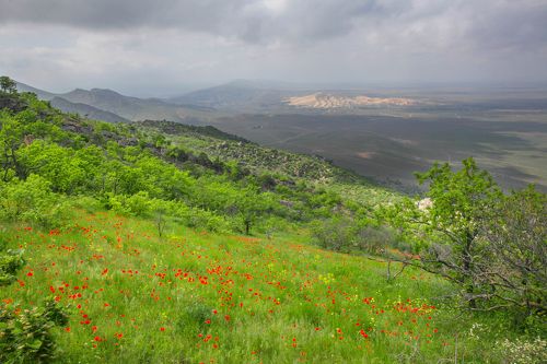 Горный пейзаж..