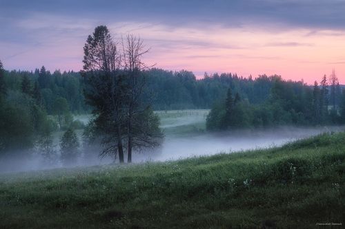 Туманные белые ночи
