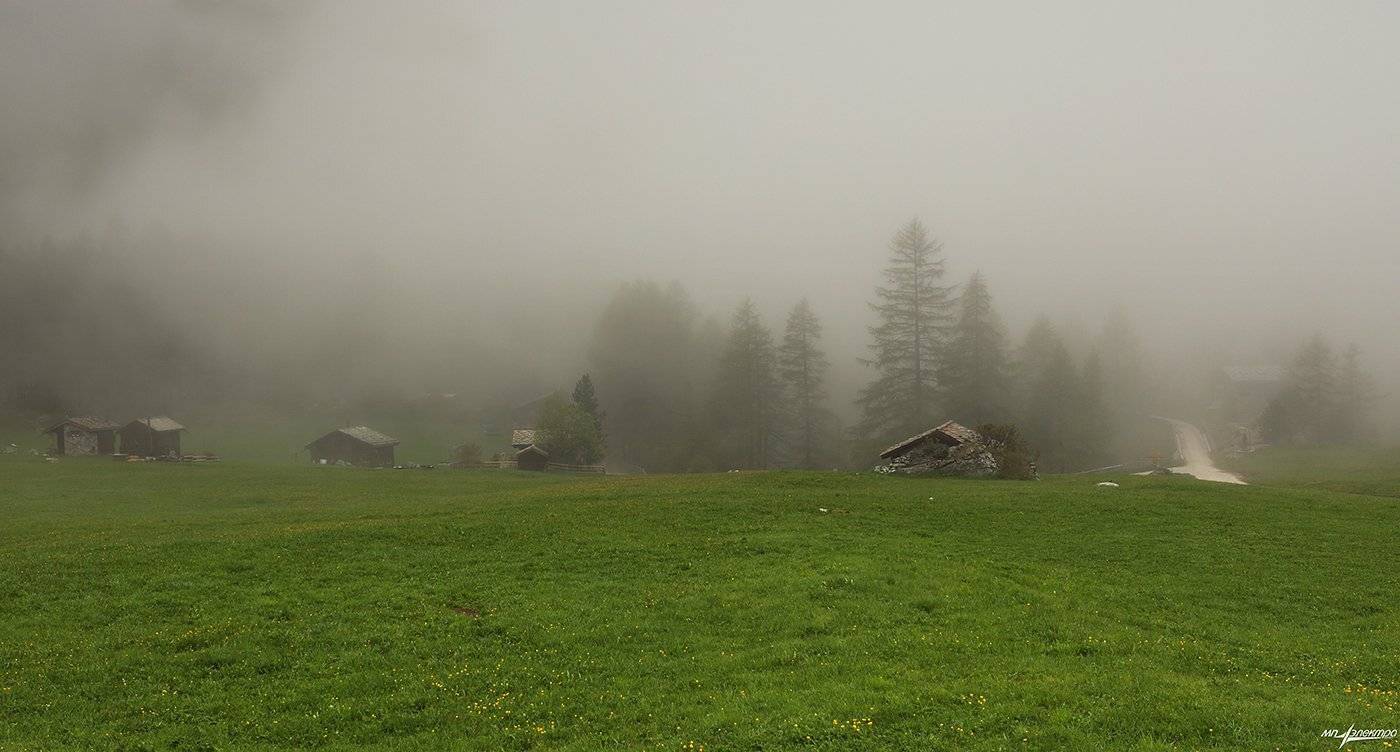 swiss, Матвеев Николай