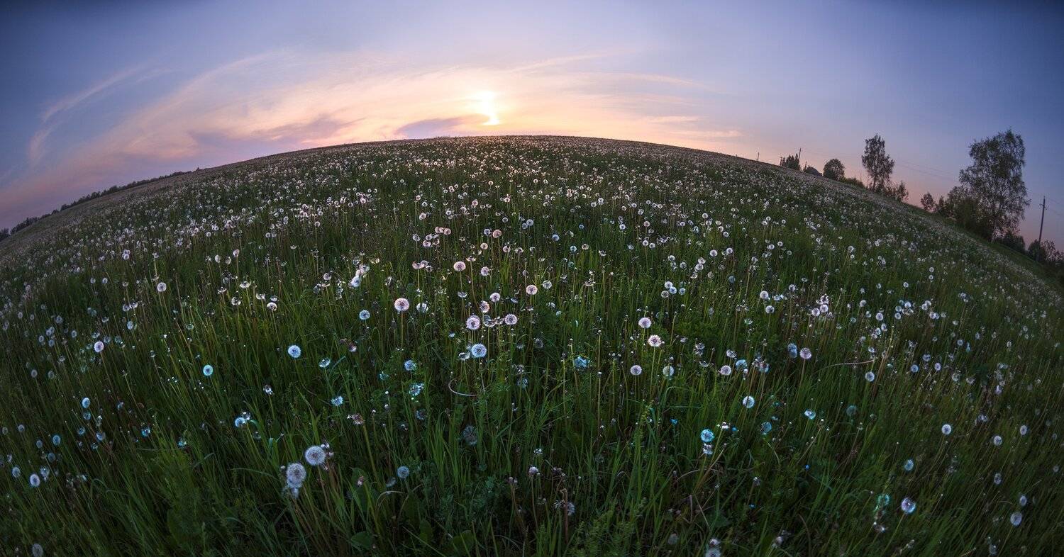 , Борис Леваков