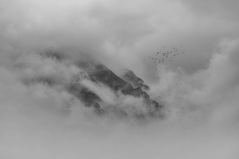 art, fineart, blackandwhite Among the clouds фото превью