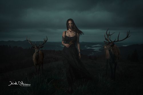 Deer tamer