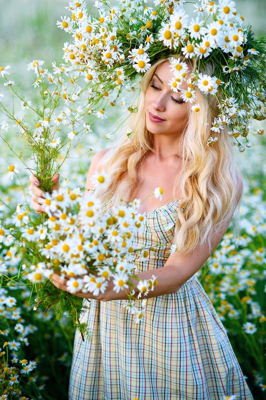 Ромашки фото превью