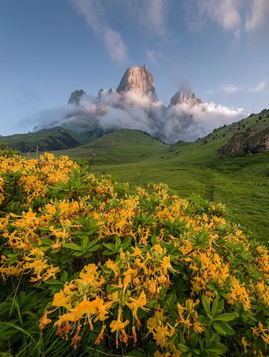 Священный Цей-Лоам