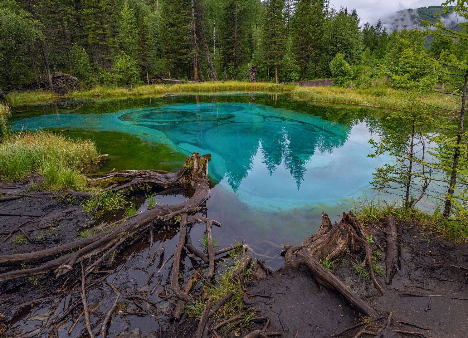 Алтай, озеро гейзерное, лето, пейзажи, .  #river #montains #valley #landscape #hiking #nature #instagood #day #fotofanatics_nature #trip #explore #wildlifephotography #photographer #photo #global_hotshotz #sky #view #natgeotravel #natgeoru #горы #peak #to, Владимир Рябков