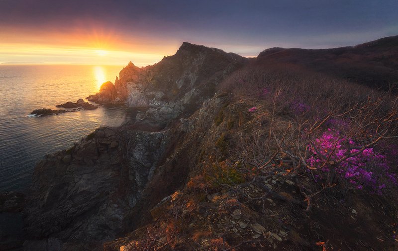 В лучах закатного света фото превью