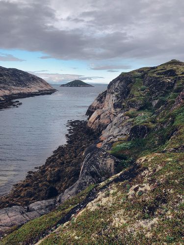 Июль в Заполярье