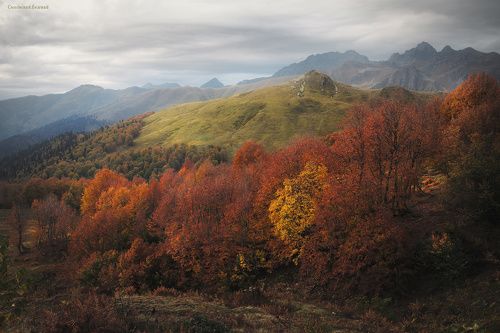 Горная Абхазия