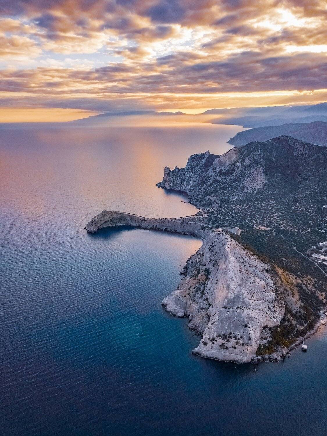 , Андрей Кривцов