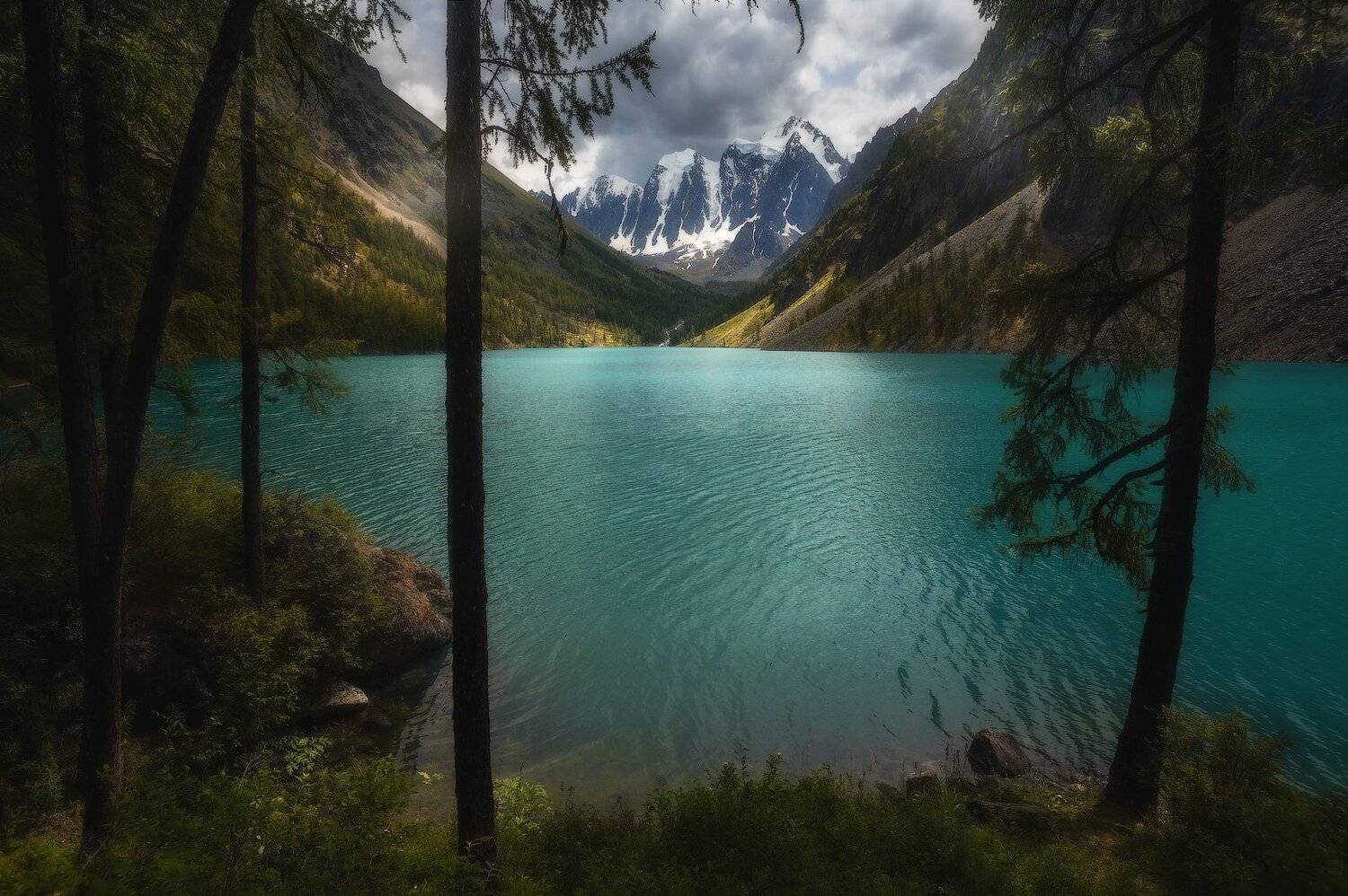 алтай, горы, шавлинское, шавла, Владимир Ляпин