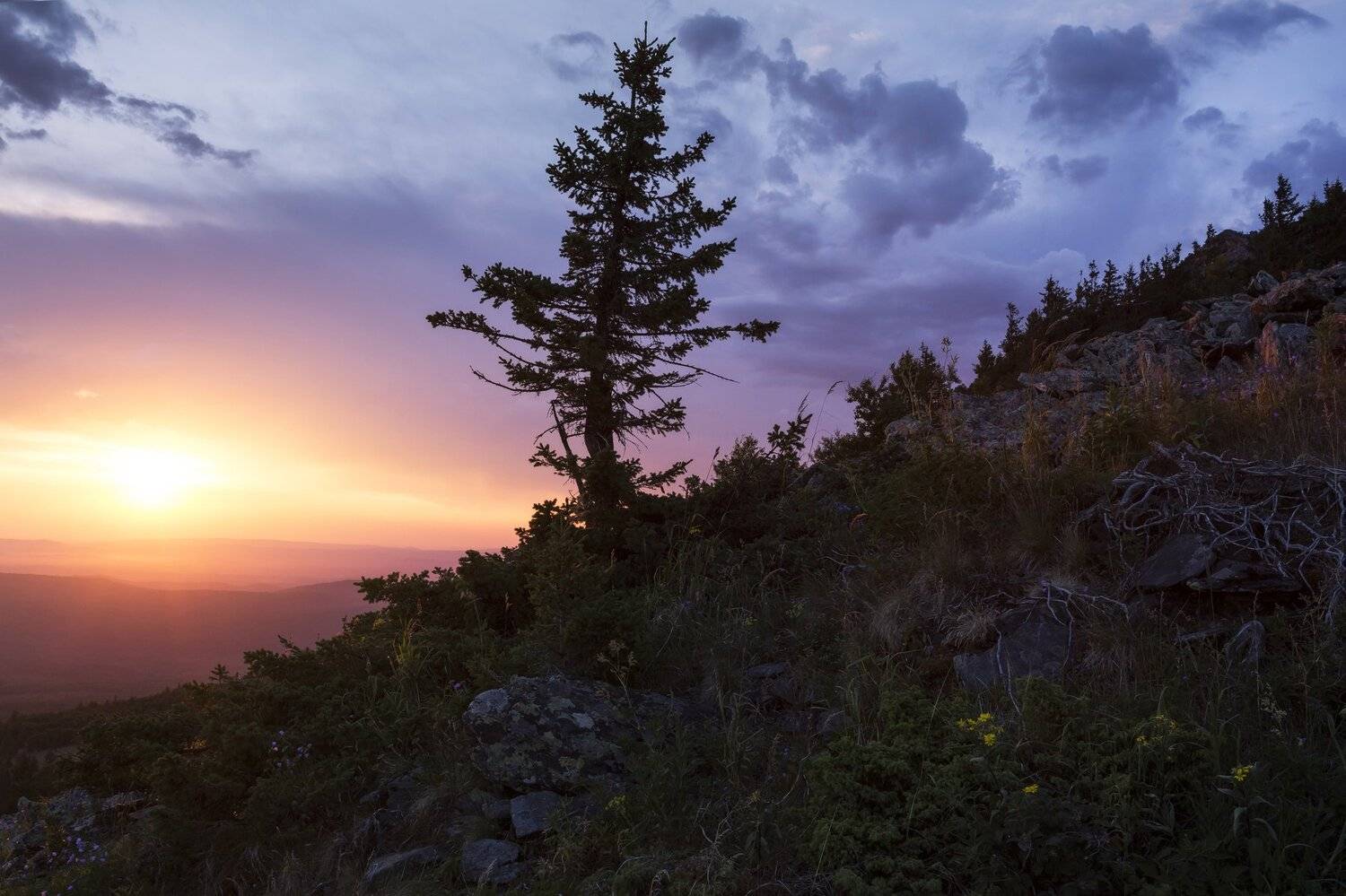 , Андрей Шарапов