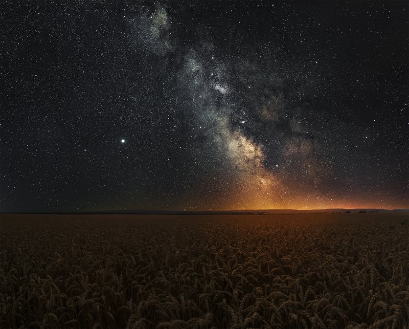 ceclii, nikon d3400  фото превью