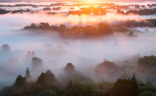 Сквозь туман