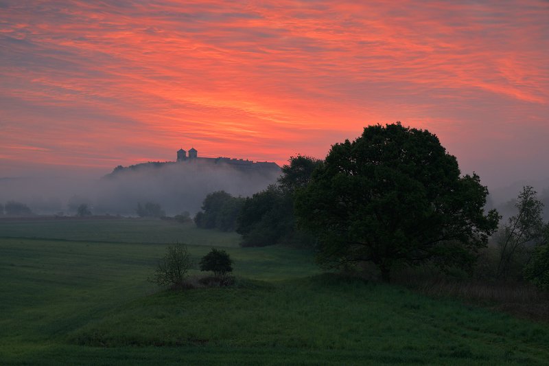red, sky, cloud, mist, sunrise, morning, tree, monastery, church, tyniec, Burning sky фото превью