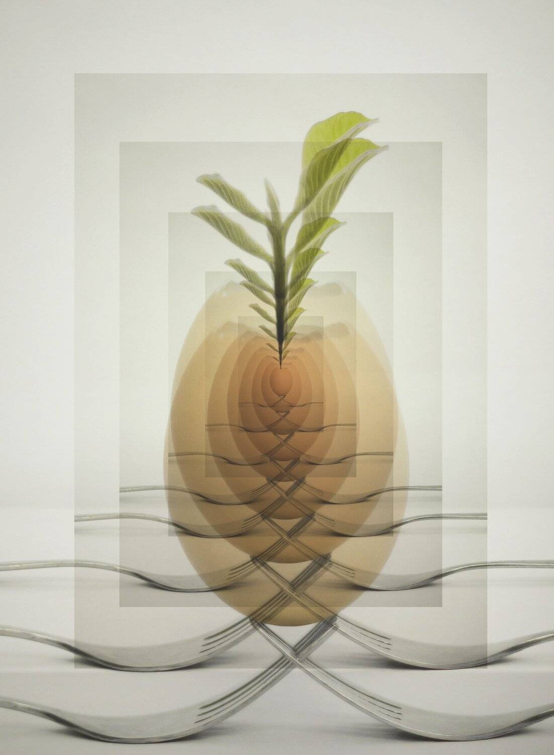 , Alex Yungan Harahap