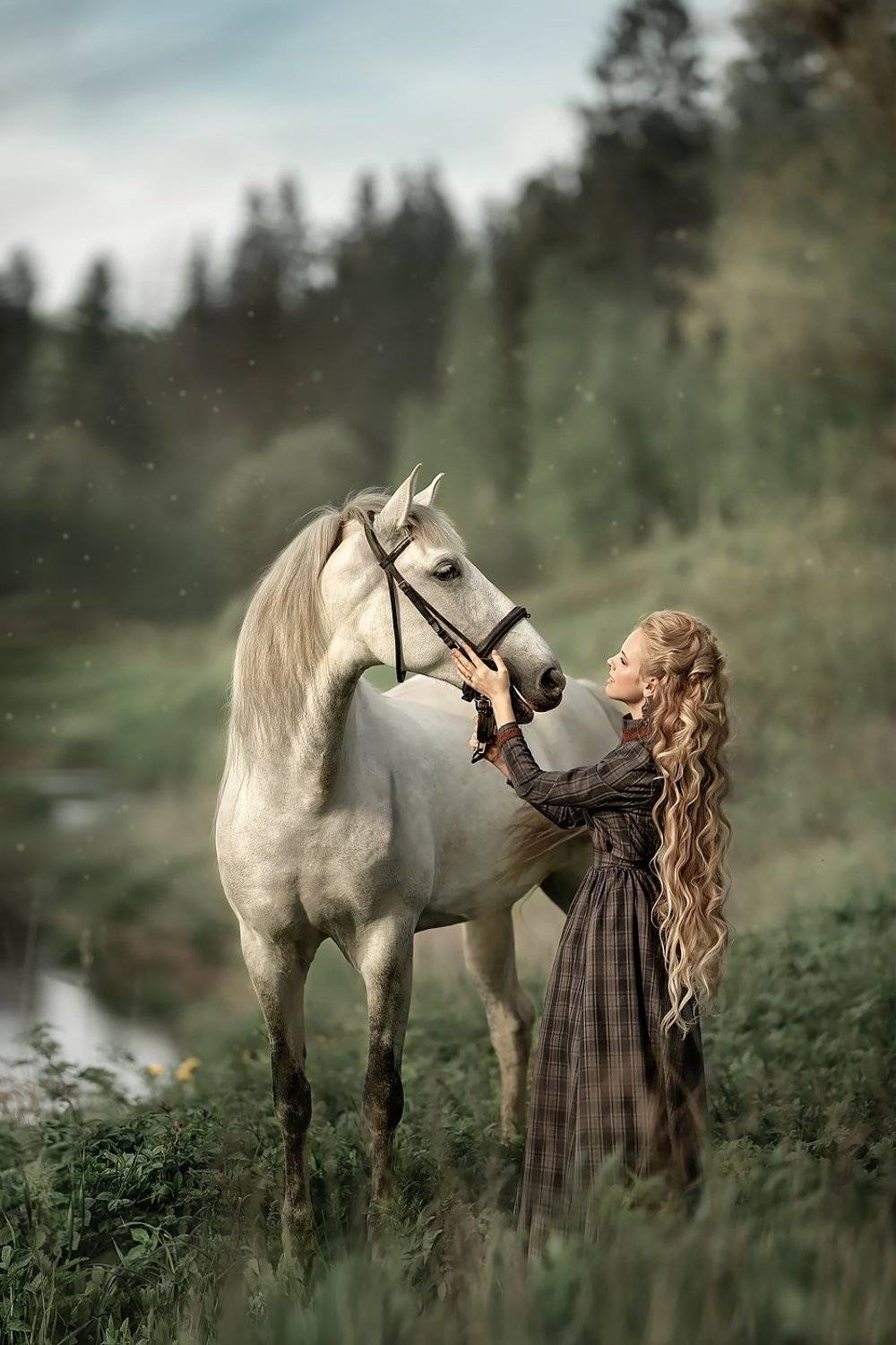 портрет, девушка, женский, портрет, лошадь, Елена Соловьёва