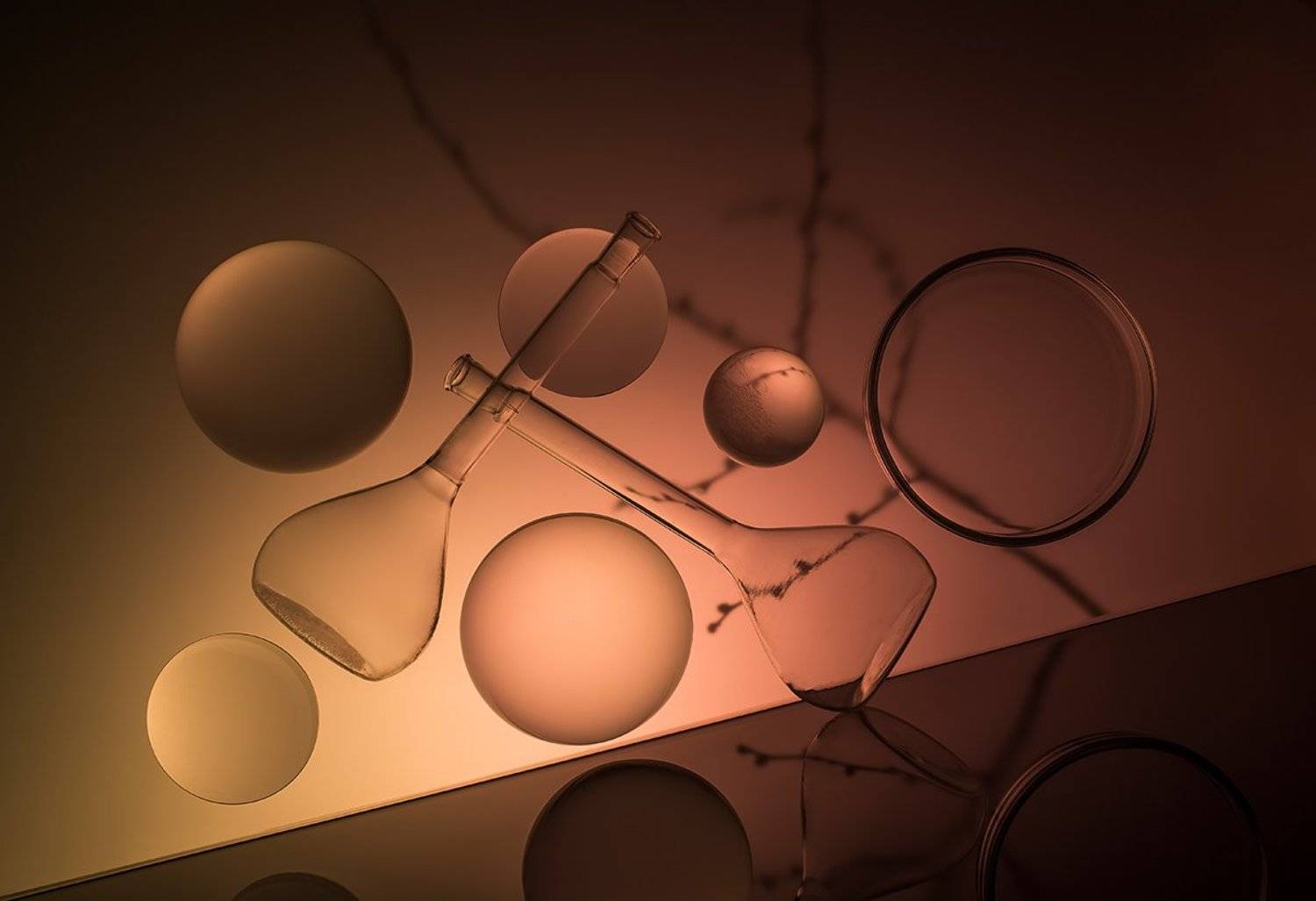 , Евгений Попов