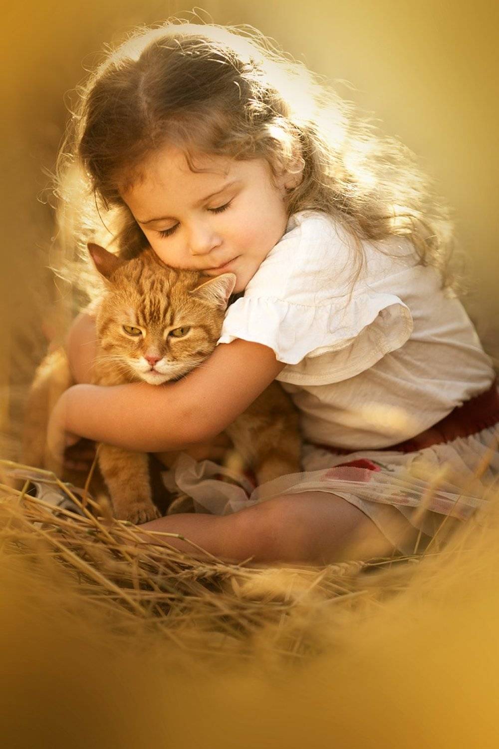 дети, девочка, детский портрет, детский фотограф, детская фотография, топ фотограф, семейный фотограф, пшеница, лето, кот, Валерия Мороз