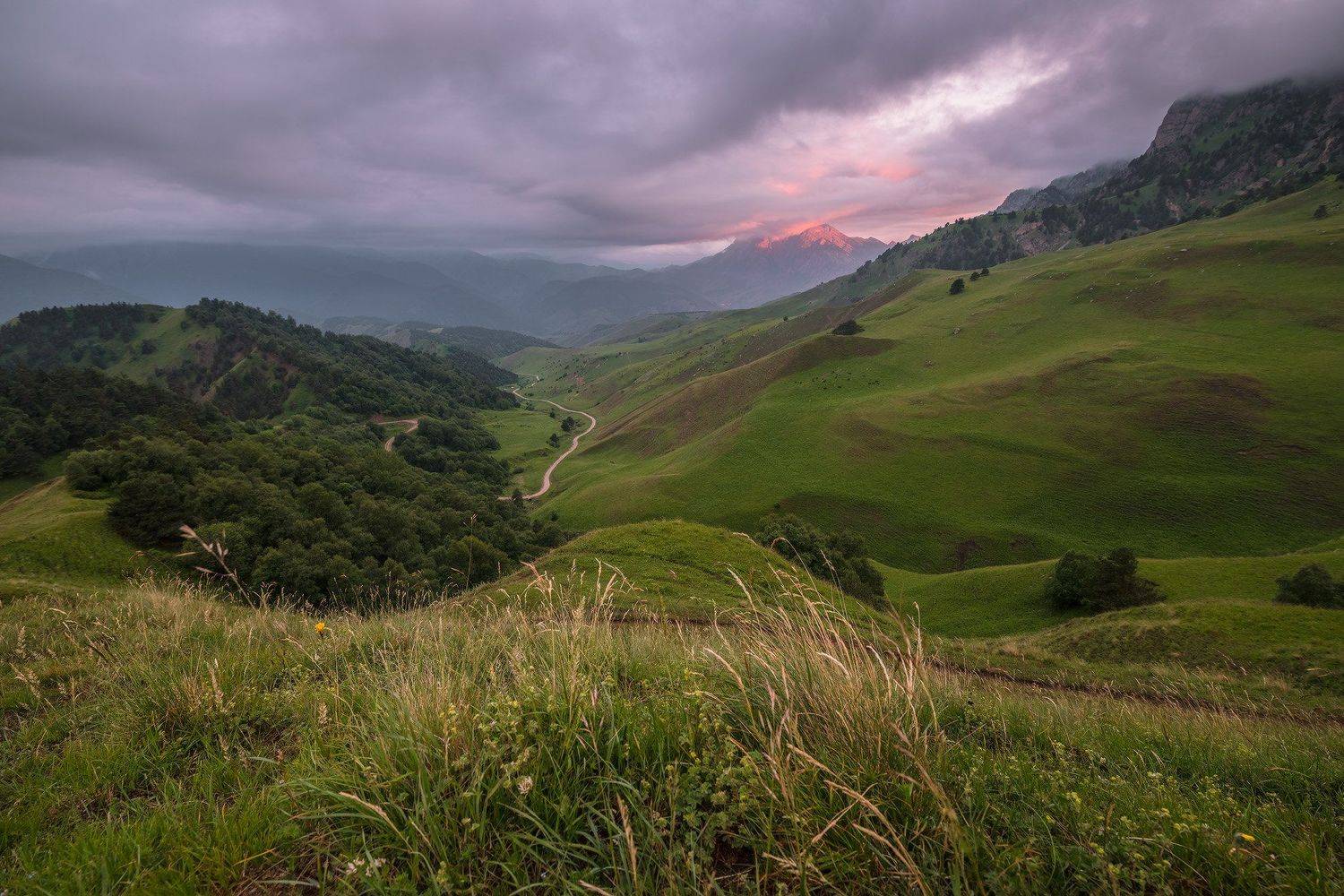 кавказ, ингушетия, цей-лоам, заповедник, эрзи, рассвет, июль, Николай Мысливцев
