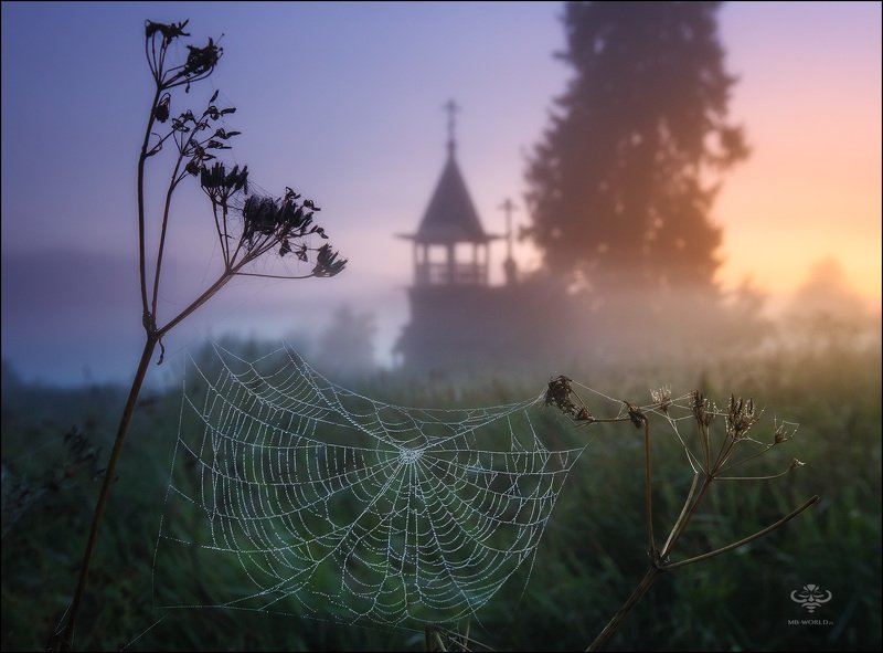 Туманный вечер в Заонежье фото превью
