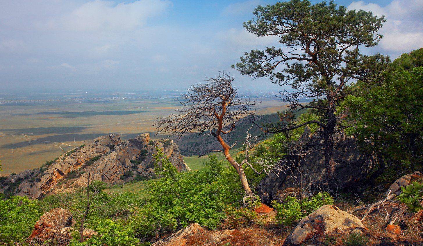 горы,вершины,пейзаж,небо,деревья,дагестан,природа, Marat Magov