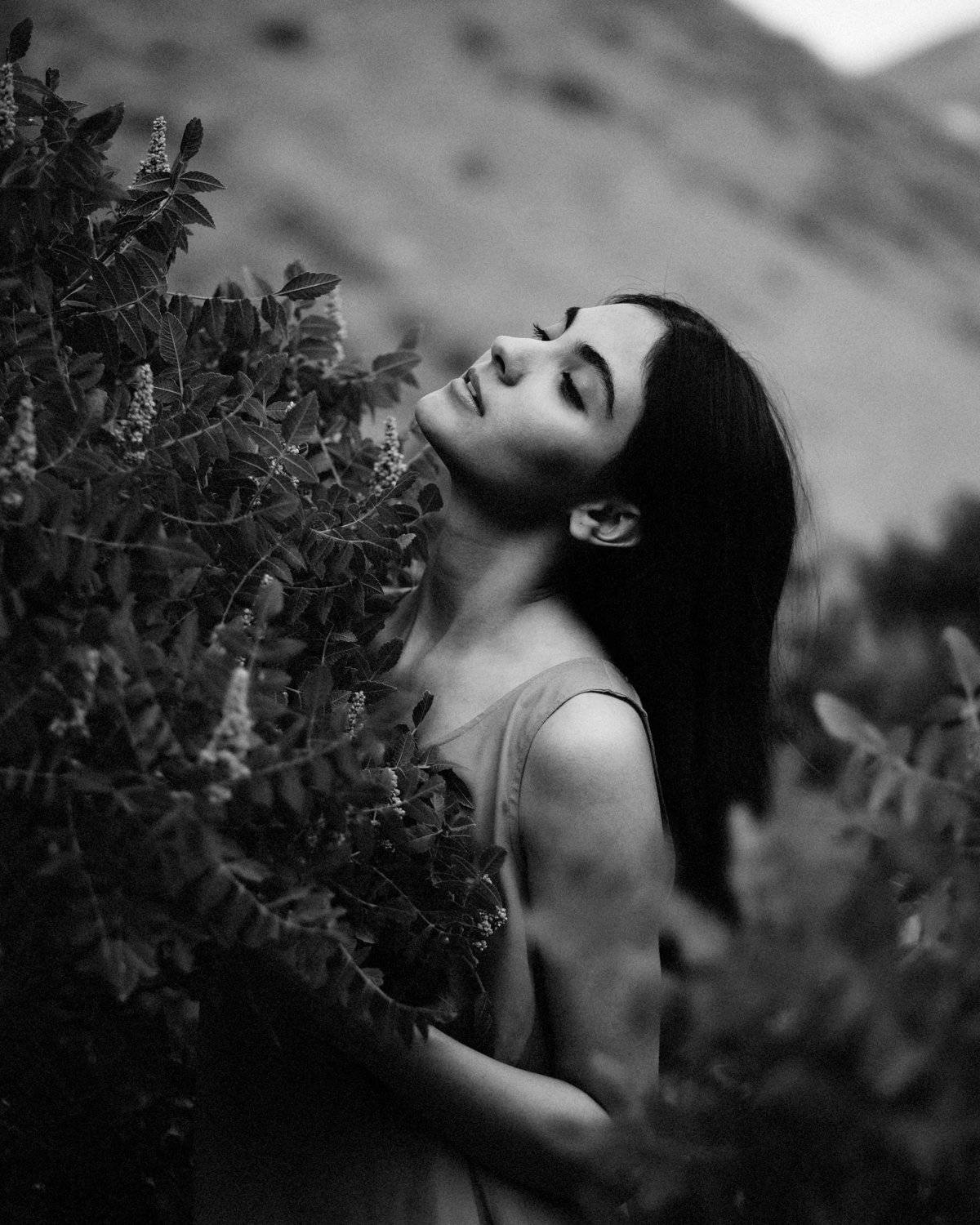 , Hamidreza Sheikhmorteza