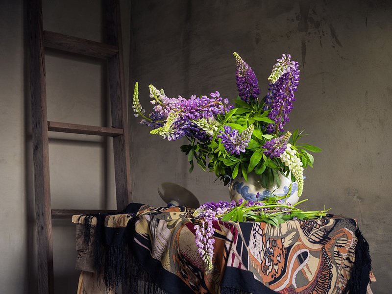 люпины Люпины фото превью