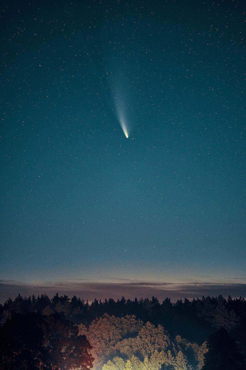 , Александр Фанковин