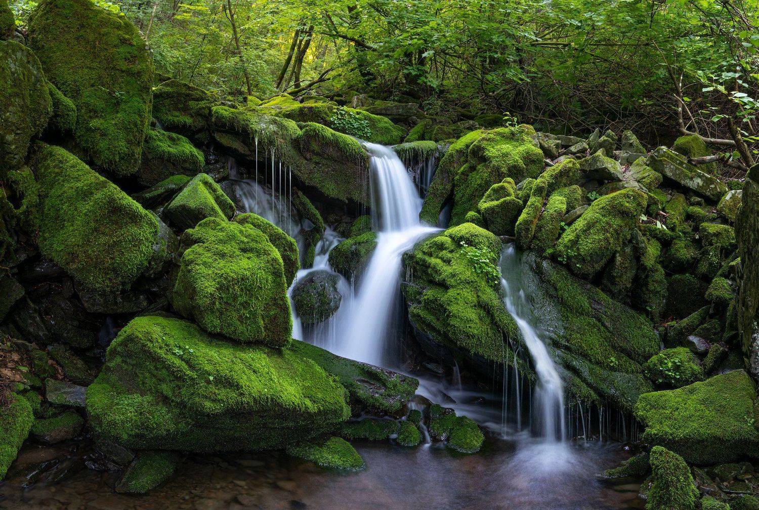 forest, summer, place, korea, waterfalls, moss, light, Jaeyoun Ryu
