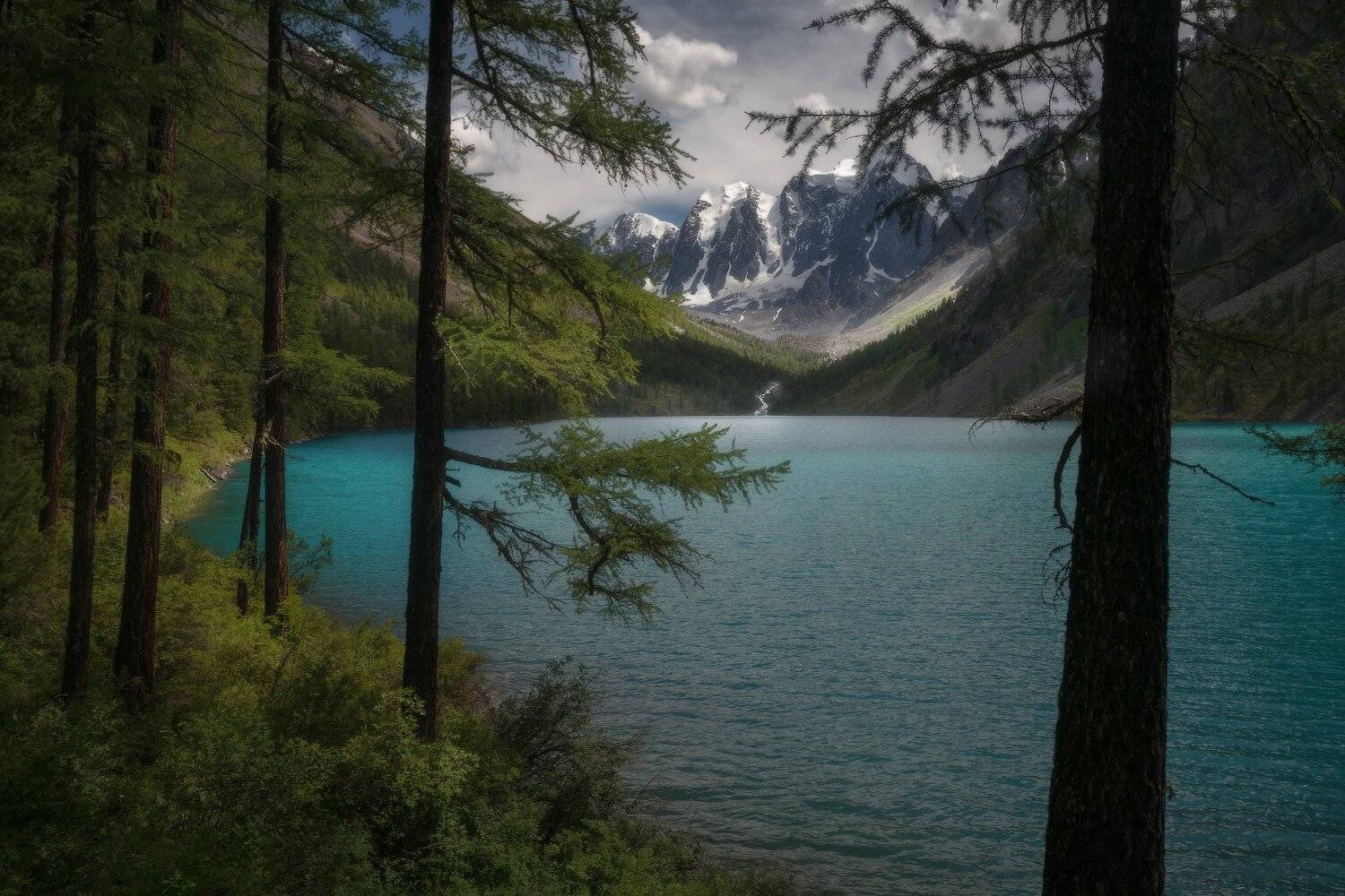 алтай, горы, шавла, шавлинское, Владимир Ляпин