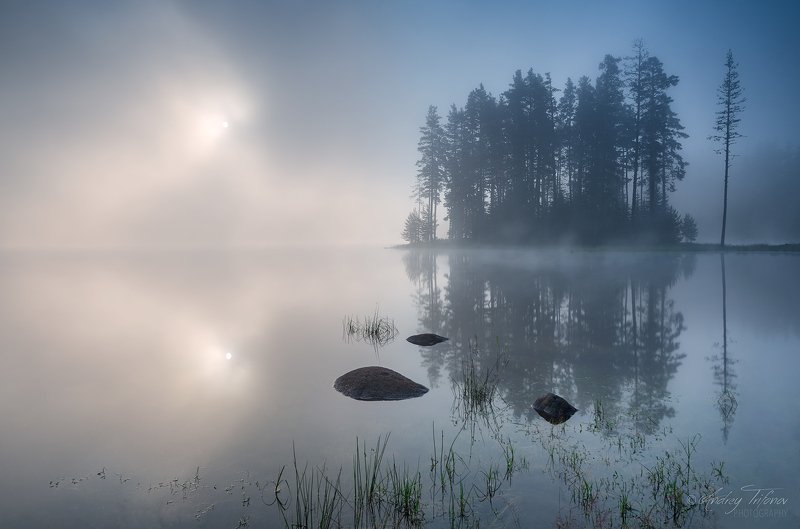 Foggy morning фото превью