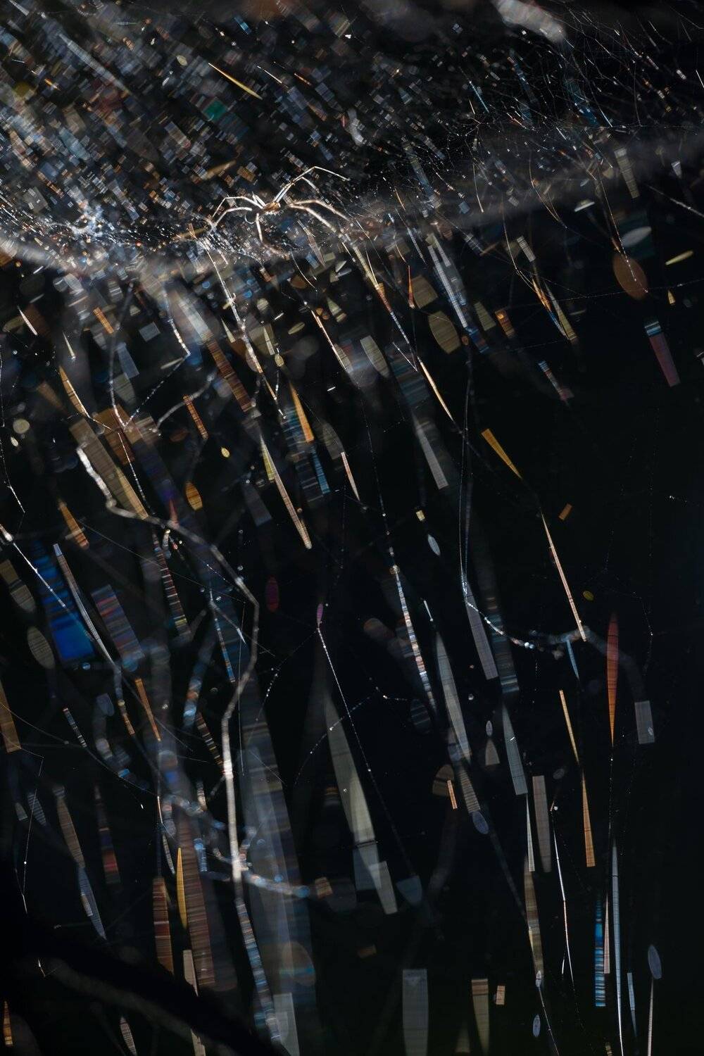 , Викулов Николай