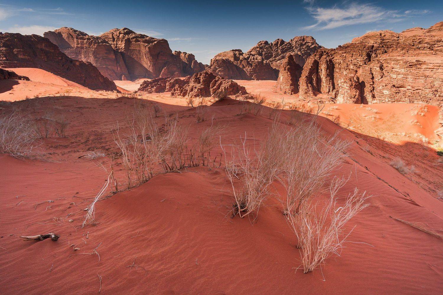 wadi rum, desert, flora, mountains, Błażej Krzyżanek