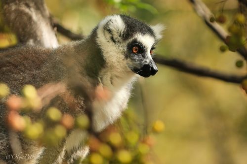 Всегда готов бежать, лететь и прыгать)