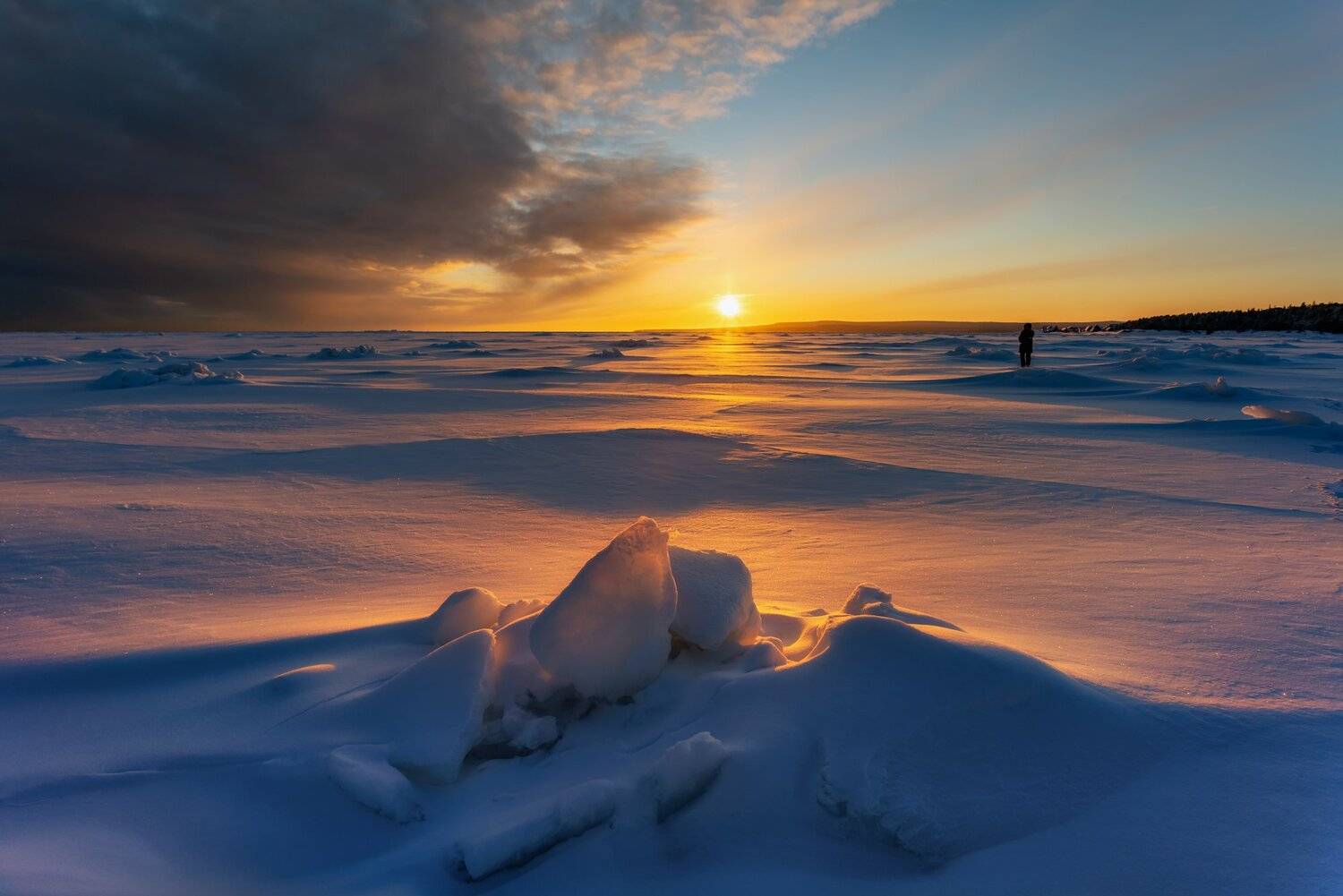 , Юлия Шумляева